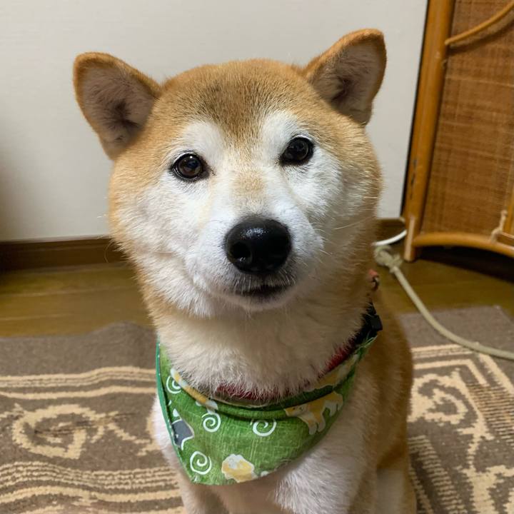 6cf2abff 87a5 4758 96cd 55291caa4ad4 1636107580098