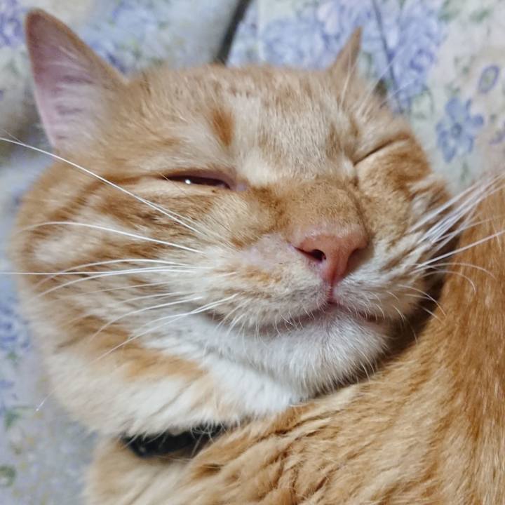 6cf2c28d 8618 4573 8321 463214d2d503 1655123505929