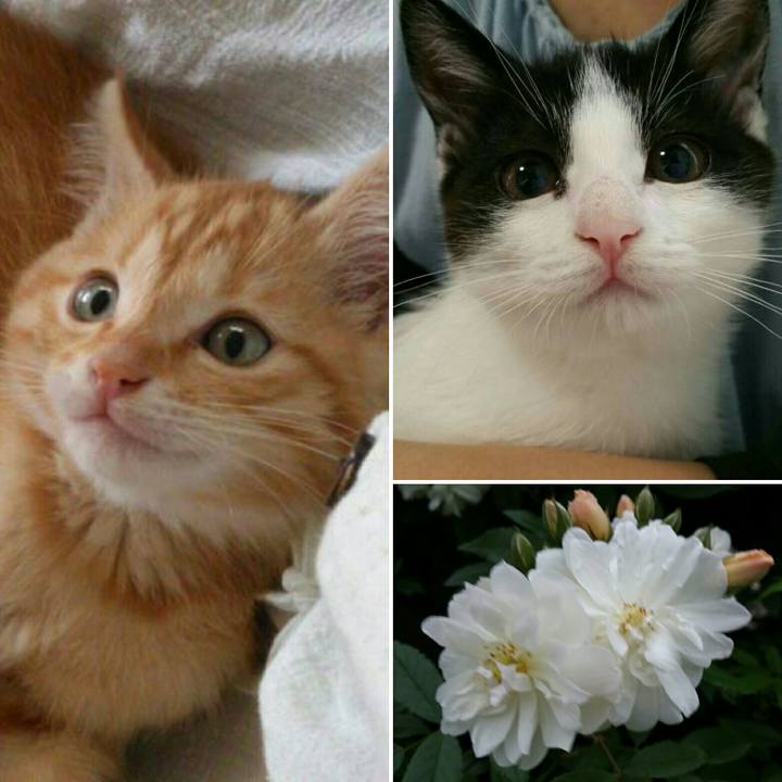 6cf2c8fa 2e4f 4ab5 a0f3 775a111f5c21 1560819142556