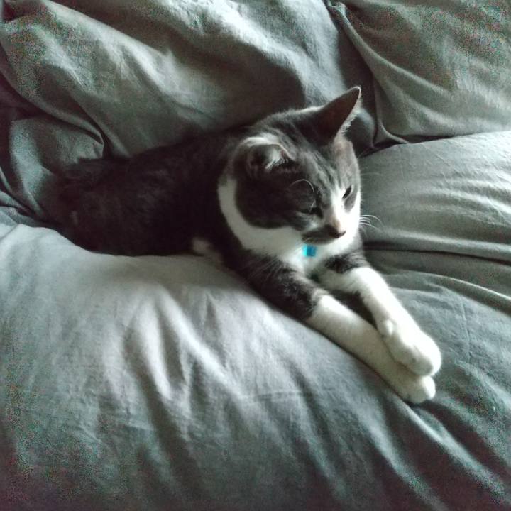 6cf2e626 2cf4 4446 9c5a f4714ad69b53 1635299114163