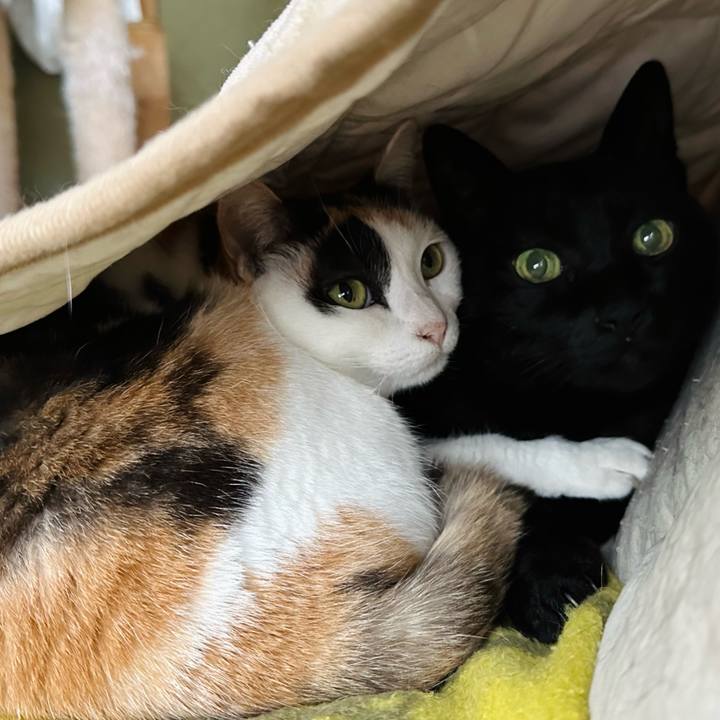 6cf339b8 5955 42b8 8747 d3be7618588c 1674090840233