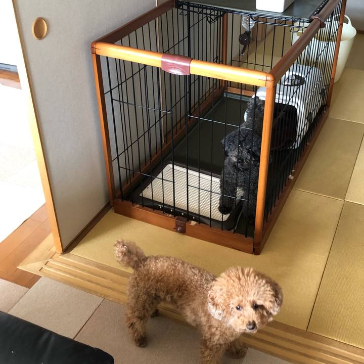 6cf36099 c16f 4cc4 a9bf 43f51d0dfa6b 1582086388928