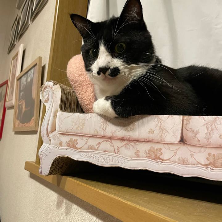 6cf3611f ef7c 41e9 ad61 36baa8d65cc9 1683038031324