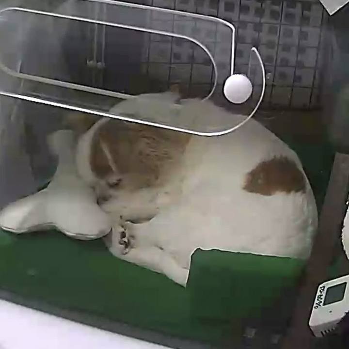 6cf361b2 3e61 4a19 a4e0 508dff3ba91b 1683854763665