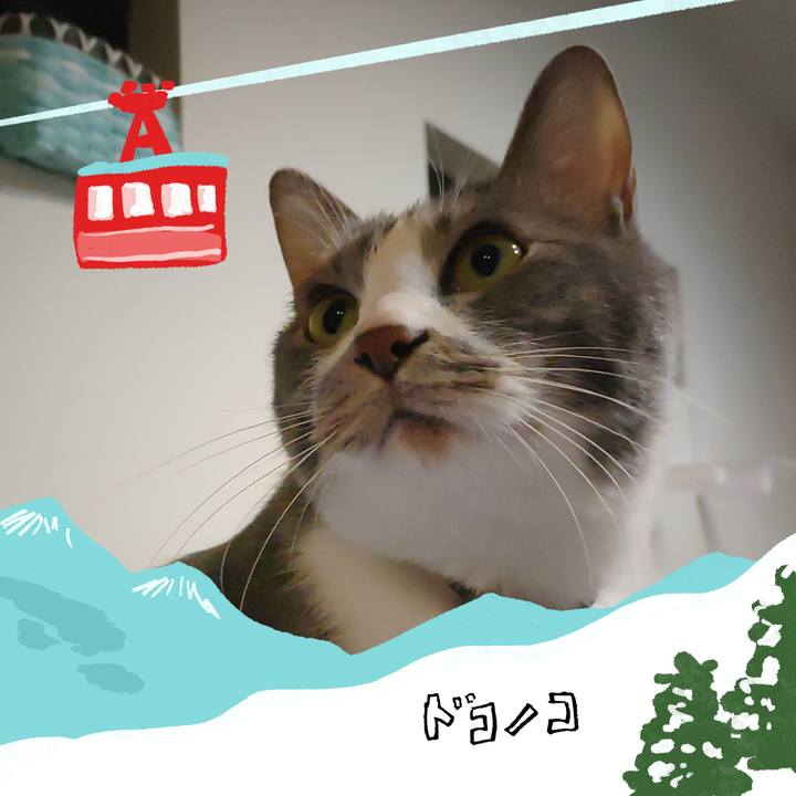 6cf38e8c a4ae 42bb 9844 9ab0baa55977 1706870649827