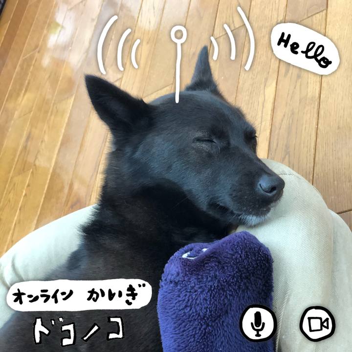 6cf3f8c7 86fd 4953 999e c7967a222a35 1590721756223