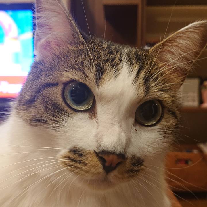 6cf40eb0 d2c7 41e4 b3f3 1ede0ce541d7 1629677167999