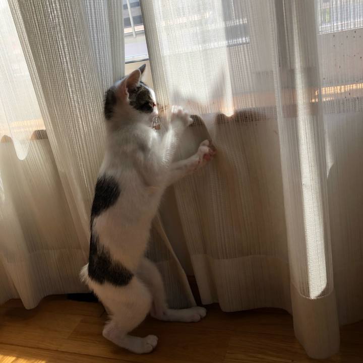 6cf43c8c 3762 4a9a 956d 179554a2d1d6 1564539645555