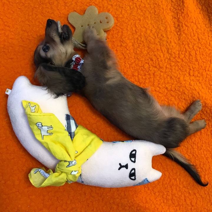 6cf4c40a 789e 46f3 bd2e 74ccf38401c7 1609645380181