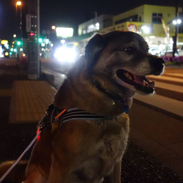 6cf4d35a d42e 4825 97ce c500ca69d89c 1557657468400