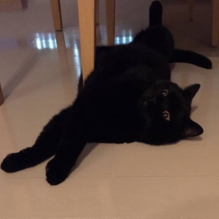 6cf4f5b6 54cb 42af 9ce0 88d340331c2b 1594553935156