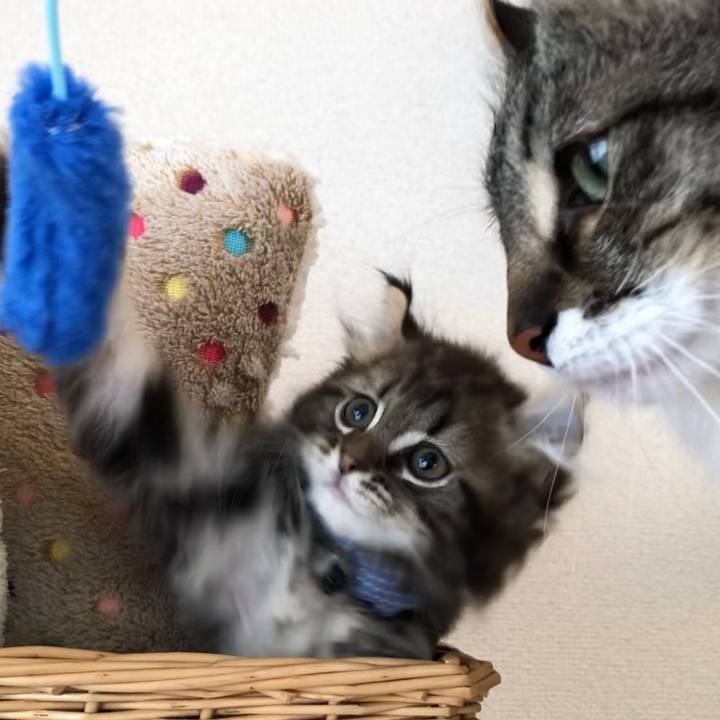 6cf50638 c4c5 42f7 9599 a460adb17924 1574120143755