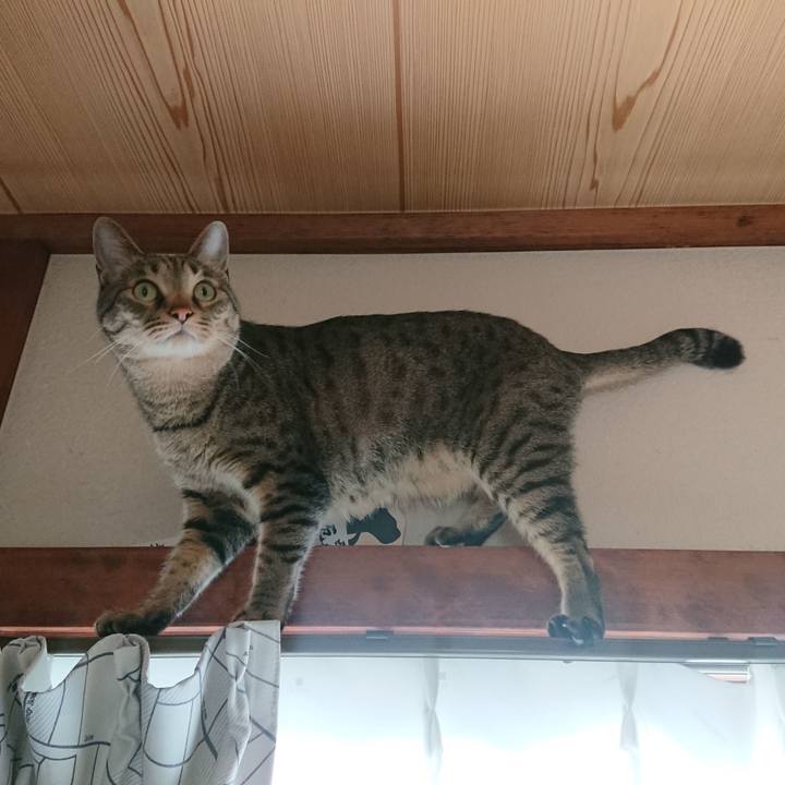 6cf5416b a6d5 42b0 8313 58db0d9835e7 1556852664821