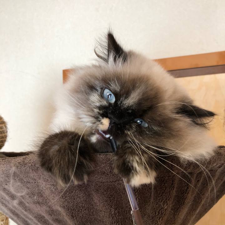 6cf565ca e45f 4b05 ba0c b0dd3b7c45b5 1641188567118