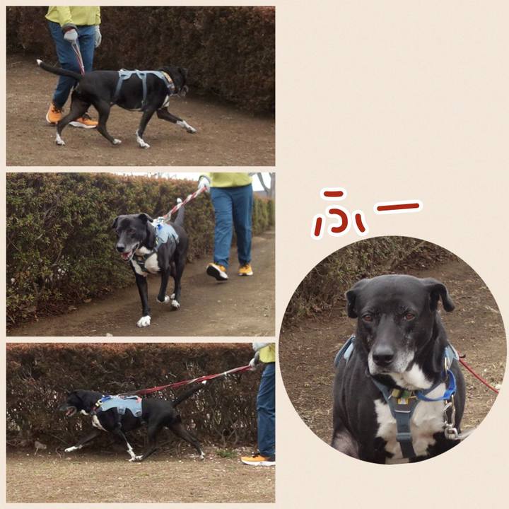 6cf57b70 7e03 4463 a78a f6293af62d36 1710808819726