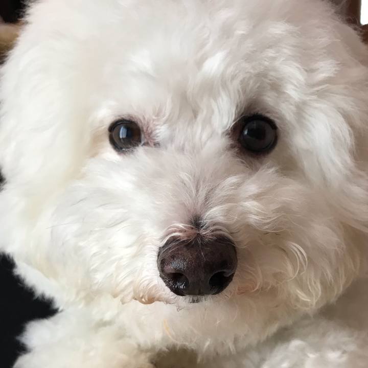 6cf5842d 86fd 4189 9bb6 d6132641faa3 1567558483747