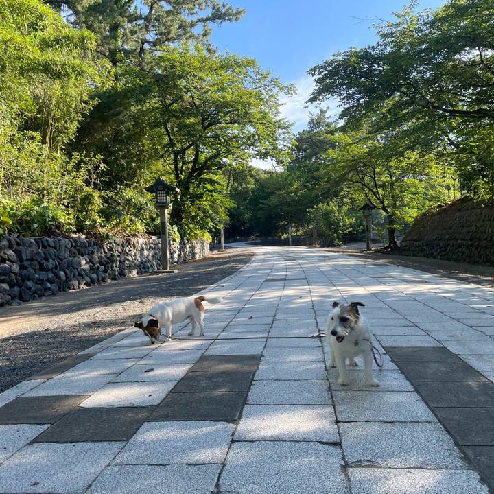 6cf5b697 6264 49dc 977f 2d0578a59ff4 1753485459971