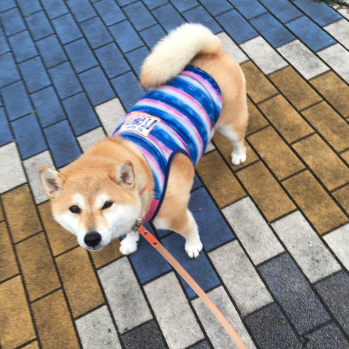 6cf5cbb8 82e4 44fb b64d bdb3979174df 1561934688044