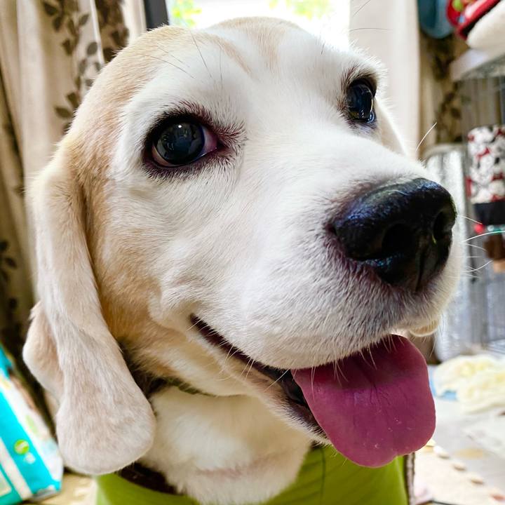 6cf5d10d 8760 4b67 ba3d d7e763cdf4ed 1636343758374