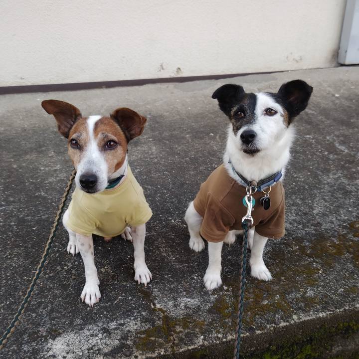 6cf5e1f3 7712 4952 a7f8 cf04637435ec 1757373450054