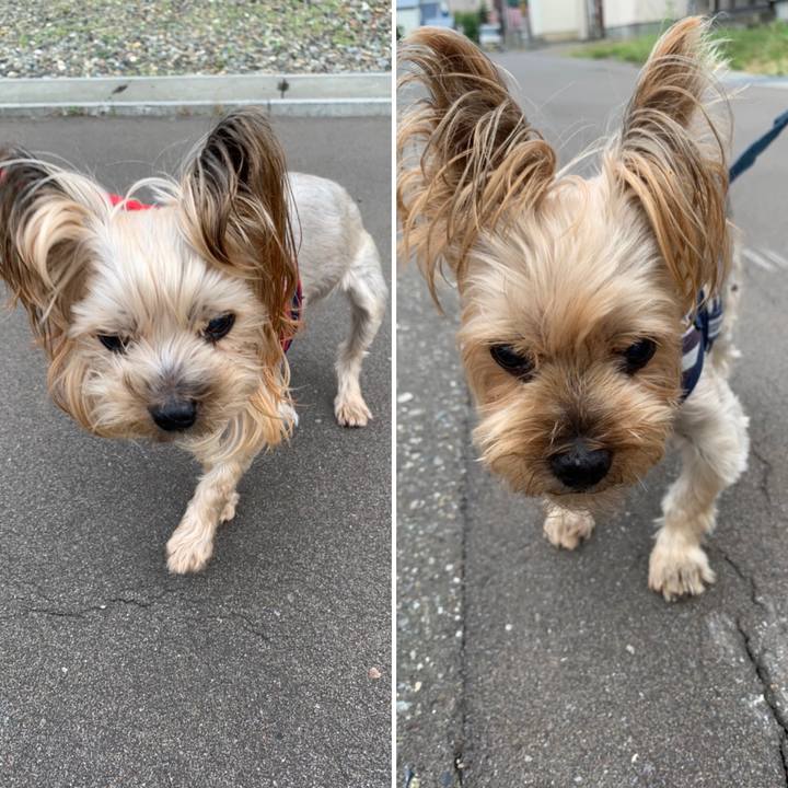 6cf5e5ea 0cc8 4166 98ec 75d21c80d839 1658137016057