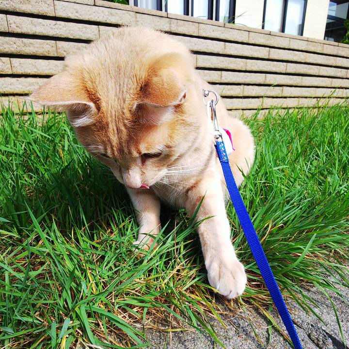 6cf613e3 b779 4591 844a c7f2a75d3d19 1630804036381