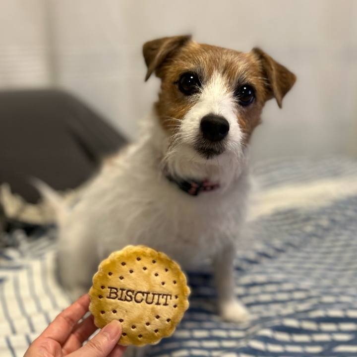 6cf61f40 cb11 4354 920b 918e7edea62d 1698620891083