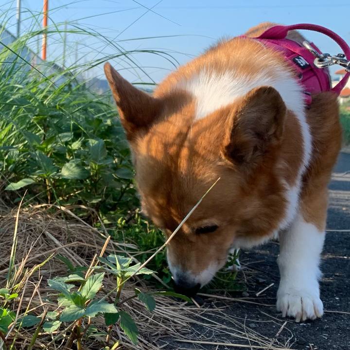 6cf63e7d 9f72 4b4c ab3c a4b5faee866a 1726105625220