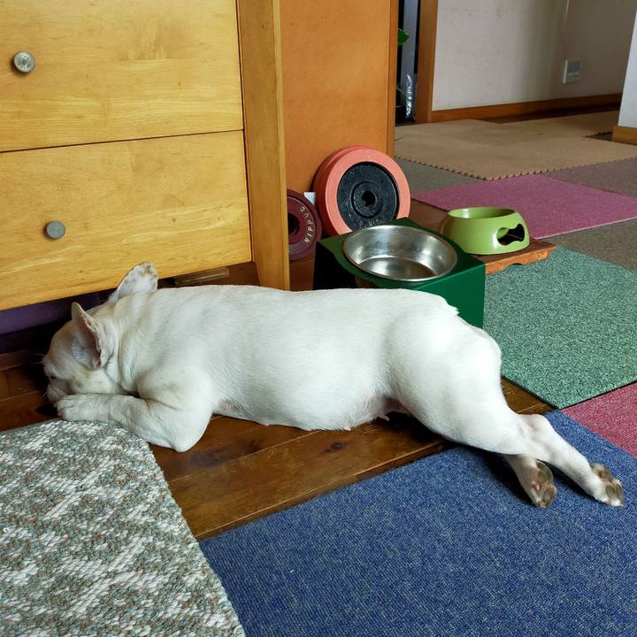 6cf6490b d2e7 4edc 9252 a2b3e3986dc6 1655938180459