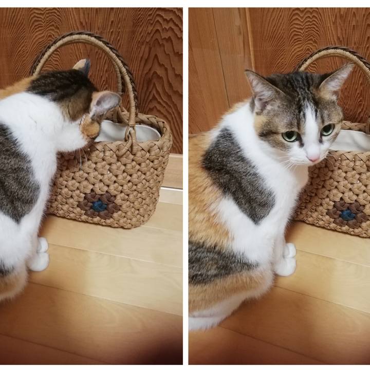 6cf65fbf 1f5e 4573 b01b b94722fac866 1680304418356