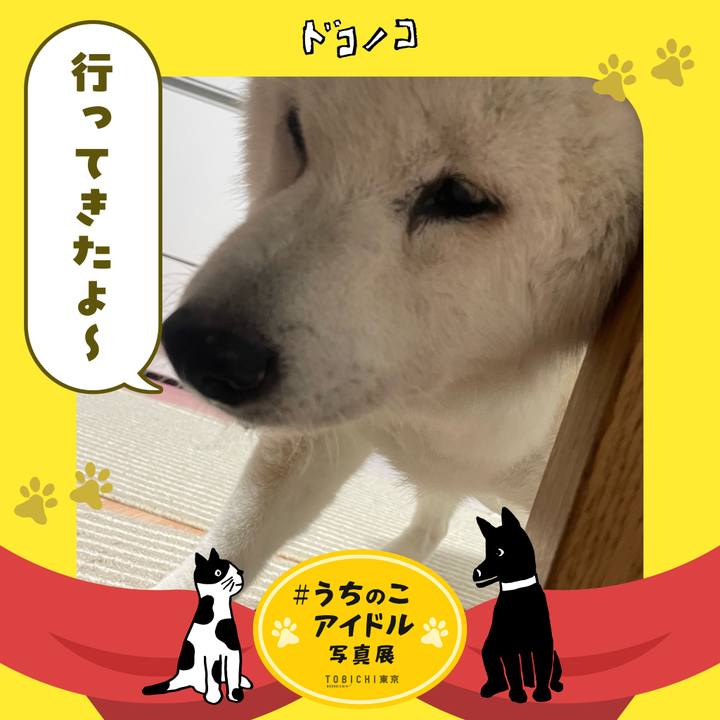 6cf67176 01f2 477c bcb6 d4252d28cc22 1761232569659