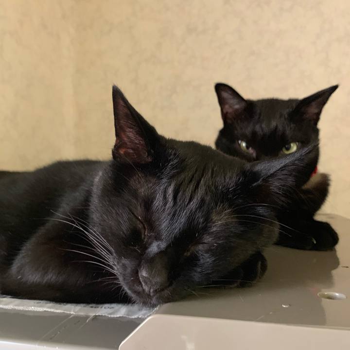 6cf693f0 cb97 4374 93d8 28b56cca7fc7 1561196529374