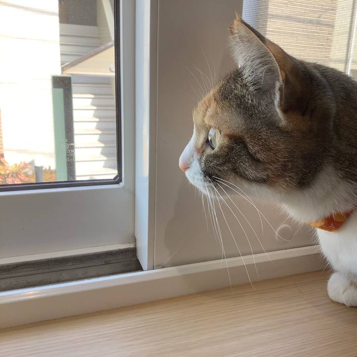 6cf7082d f311 4d1a b260 e9591edeaa05 1614866173556