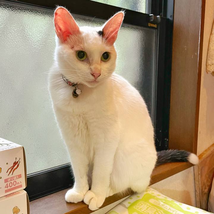 6cf7405f 59fa 4498 8103 321b28171bcd 1757025971371