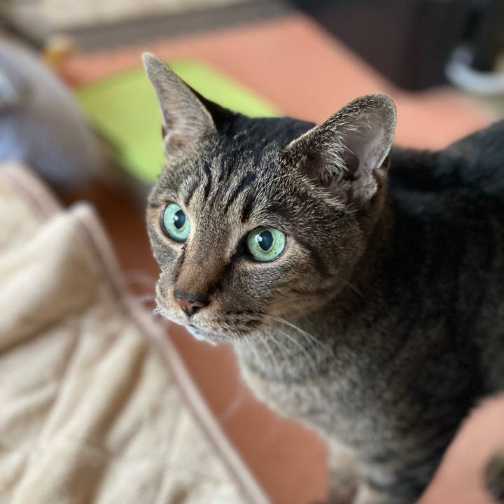 6cf74a70 c2e0 4e25 ad7a 44038051131a 1615080856290