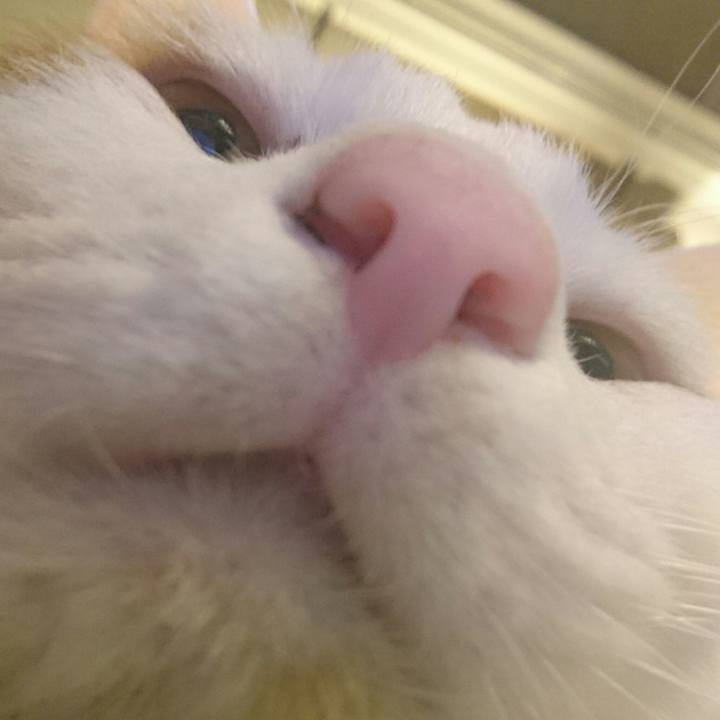 6cf74f5d e0ce 4fa9 9a02 675111fa8714 1553603756421