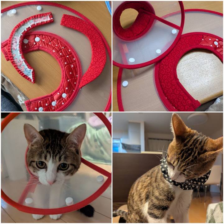 6cf7a7c1 63ad 405d b1dd 01e23636e689 1742020513461