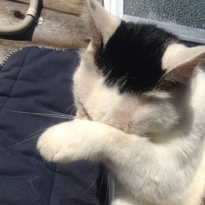 6cf7b94f 0e35 4e63 a660 6337a688f0c4 1540981520568