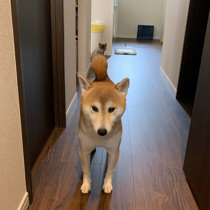 6cf7eea2 5a95 4e46 8aab bdb683ed585b 1616721912095