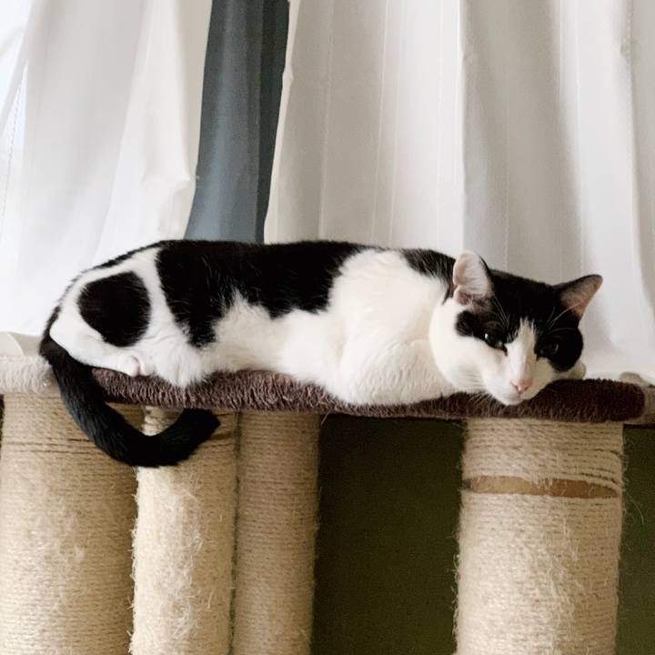 6cf808cf 5e87 4f77 aa7a c8006df5a74c 1553131373936