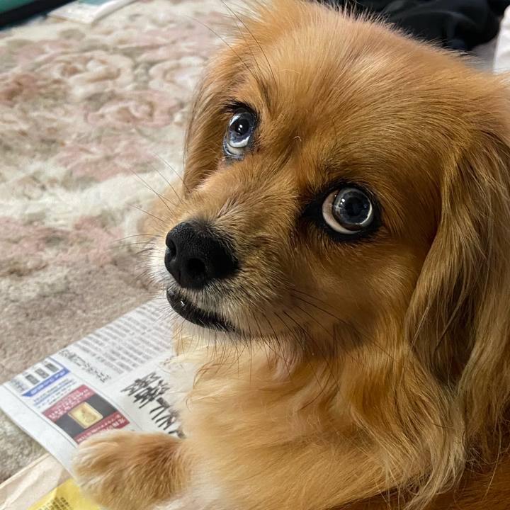 6cf81d1b a584 46a5 9161 2da5f828ebd6 1592430699408