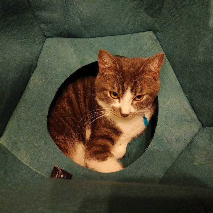 6cf8428e 8e79 44bb ae46 932f7534b735 1575991744607