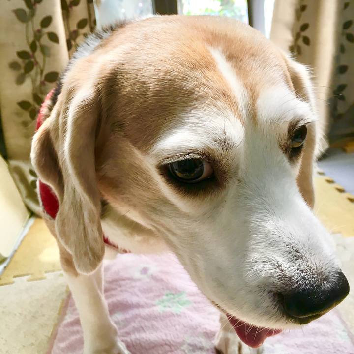 6cf842c1 1c6d 4f0c 833c b4c4e6ad0b00 1746159025318