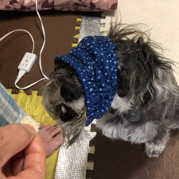 6cf88a6f bf63 4d64 b3d5 39508e5c6731 1530927909146