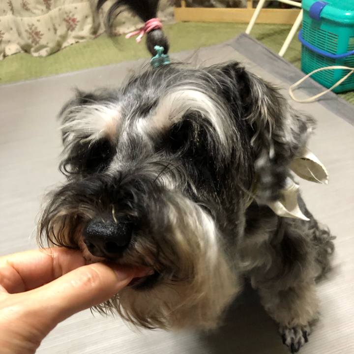 6cf893da c242 47b4 9064 b828c8d709c5 1565100597623