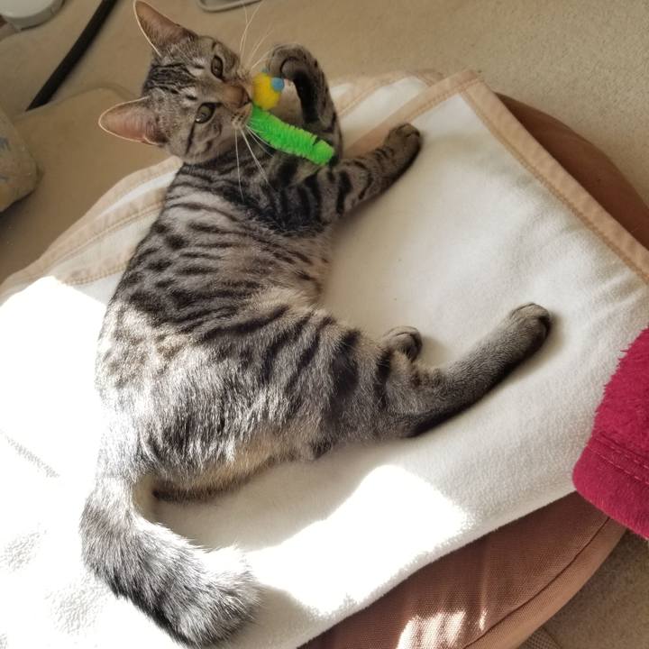 6cf8a172 be02 4c20 adb2 47cfb800c408 1677464822191