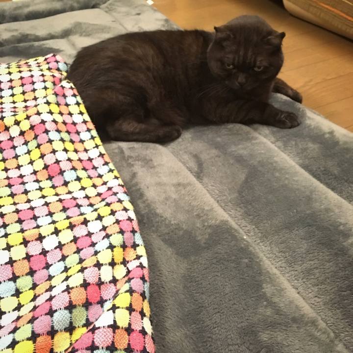 6cf8fefc 64f4 4a88 b791 654a879384cc 1547738865882