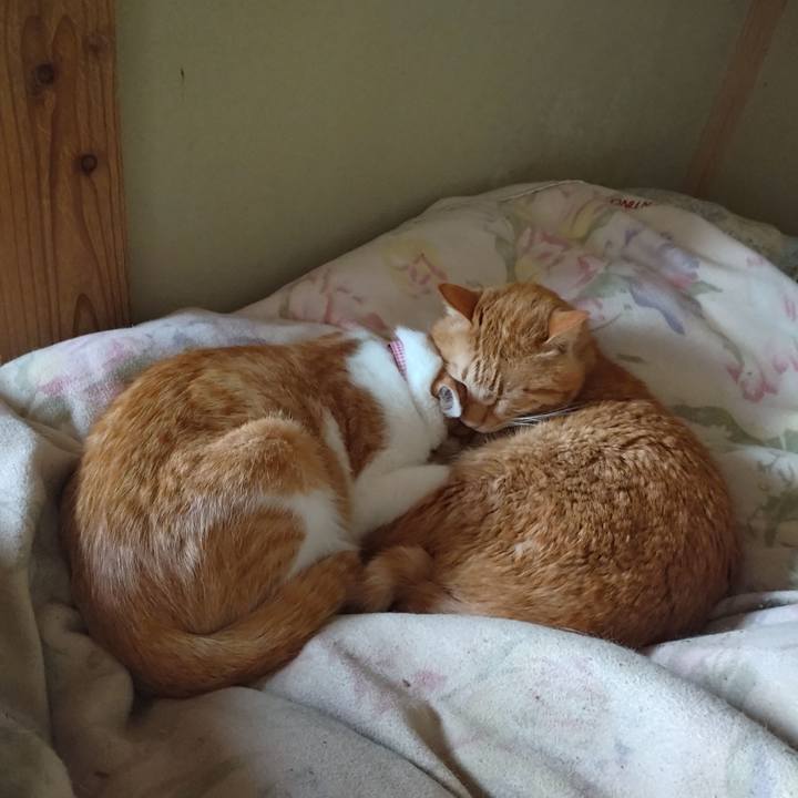 6cf90a23 2239 4ff1 9c54 1b242909562b 1742091534581