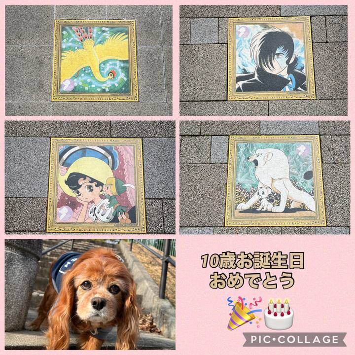 6cf91145 2382 43db bcee 09516da515ba 1771558764187