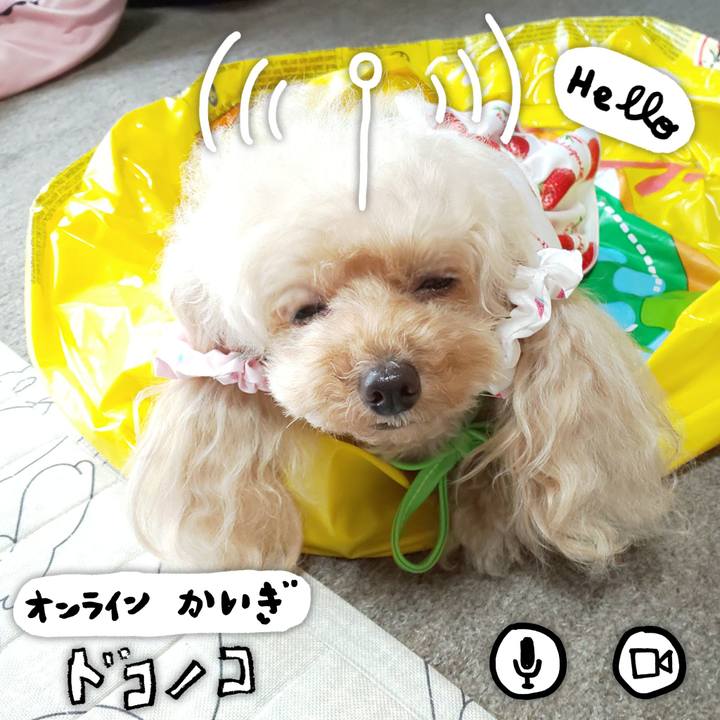 6cf91775 efd7 4b49 8fc8 caa144dfc699 1590931737747